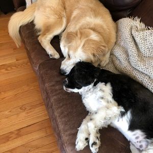 Meet your Posher, Lisa